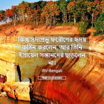 Picture 05 - যাত্ৰা 10:20 BENIRV - কিন্তু সদাপ্রভু - Bible Verse Picture