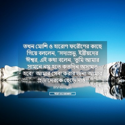 Picture 05 - যাত্ৰা 10:3 BENIRV - তখন মোশি ও হারোণ - Bible Verse Picture