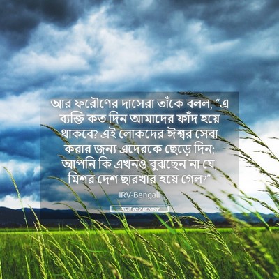 Picture 05 - যাত্ৰা 10:7 BENIRV - আর ফরৌণের দাসেরা - Bible Verse Picture
