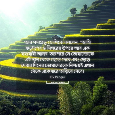 Picture 05 - যাত্ৰা 11:1 BENIRV - আর সদাপ্রভু - Bible Verse Picture