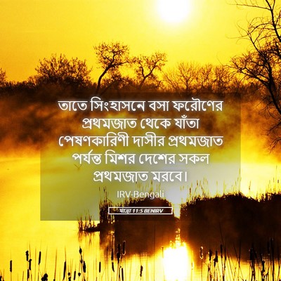 Picture 05 - যাত্ৰা 11:5 BENIRV - তাতে সিংহাসনে বসা - Bible Verse Picture