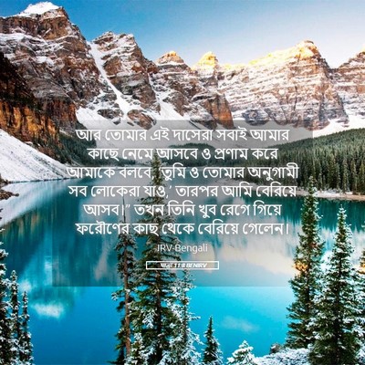 Picture 05 - যাত্ৰা 11:8 BENIRV - আর তোমার এই দাসেরা - Bible Verse Picture
