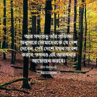 Picture 05 - যাত্ৰা 12:25 BENIRV - আর সদাপ্রভু তাঁর - Bible Verse Picture