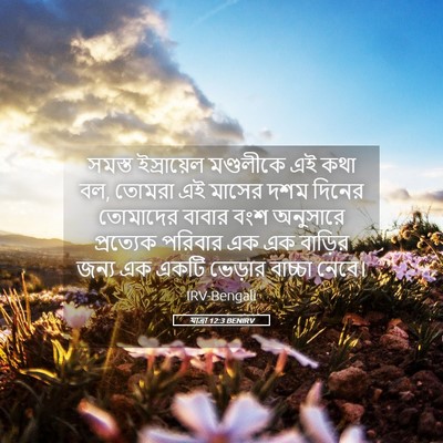 Picture 05 - যাত্ৰা 12:3 BENIRV - সমস্ত ইস্রায়েল - Bible Verse Picture