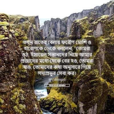 Picture 05 - যাত্ৰা 12:31 BENIRV - তখন রাতের বেলায় - Bible Verse Picture