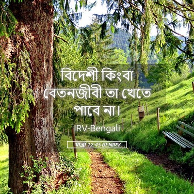 Picture 05 - যাত্ৰা 12:45 BENIRV - বিদেশী কিংবা - Bible Verse Picture