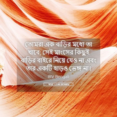 Picture 05 - যাত্ৰা 12:46 BENIRV - তোমরা এক বাড়ির - Bible Verse Picture