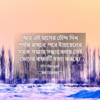 Picture 05 - যাত্ৰা 12:6 BENIRV - আর এই মাসের চৌদ্দ - Bible Verse Picture