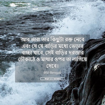 Picture 05 - যাত্ৰা 12:7 BENIRV - আর তারা তার কিছুটা - Bible Verse Picture