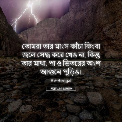 Picture 05 - যাত্ৰা 12:9 BENIRV - তোমরা তার মাংস - Bible Verse Picture