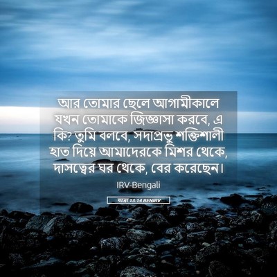 Picture 05 - যাত্ৰা 13:14 BENIRV - আর তোমার ছেলে - Bible Verse Picture