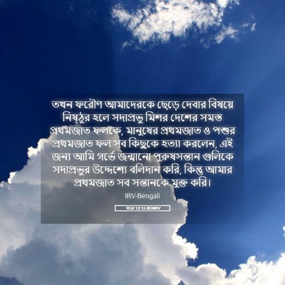 Picture 05 - যাত্ৰা 13:15 BENIRV - তখন ফরৌণ আমাদেরকে - Bible Verse Picture