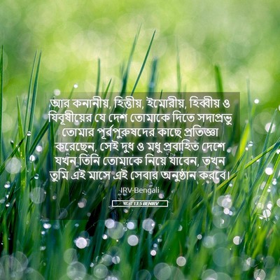 Picture 05 - যাত্ৰা 13:5 BENIRV - আর কনানীয়, - Bible Verse Picture