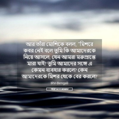Picture 05 - যাত্ৰা 14:11 BENIRV - আর তাঁরা মোশিকে - Bible Verse Picture