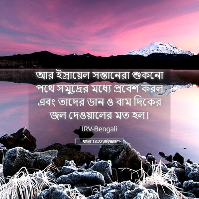 Picture 05 - যাত্ৰা 14:22 BENIRV - আর ইস্রায়েল - Bible Verse Picture