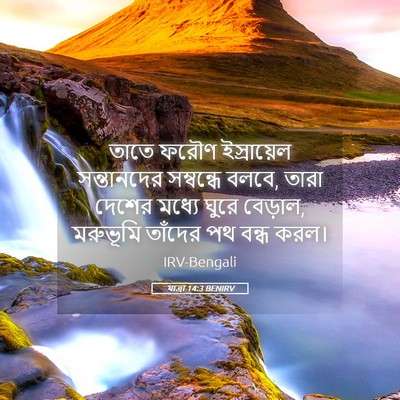 Picture 05 - যাত্ৰা 14:3 BENIRV - তাতে ফরৌণ - Bible Verse Picture