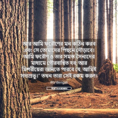 Picture 05 - যাত্ৰা 14:4 BENIRV - আর আমি ফরৌণের মন - Bible Verse Picture