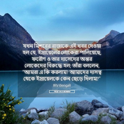 Picture 05 - যাত্ৰা 14:5 BENIRV - যখন মিশরের রাজাকে - Bible Verse Picture
