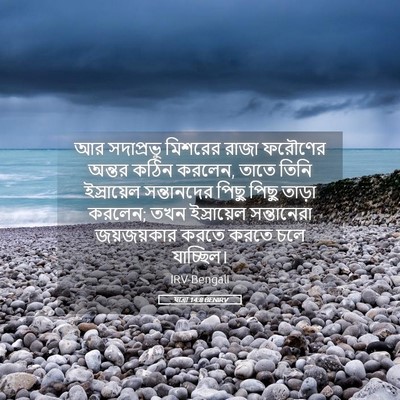 Picture 05 - যাত্ৰা 14:8 BENIRV - আর সদাপ্রভু - Bible Verse Picture