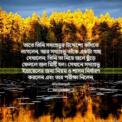 Picture 05 - যাত্ৰা 15:25 BENIRV - তাতে তিনি - Bible Verse Picture