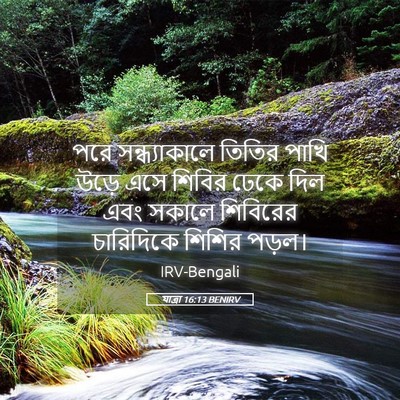 Picture 05 - যাত্ৰা 16:13 BENIRV - পরে সন্ধ্যাকালে - Bible Verse Picture