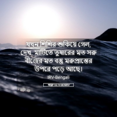 Picture 05 - যাত্ৰা 16:14 BENIRV - যখন শিশির শুকিয়ে - Bible Verse Picture