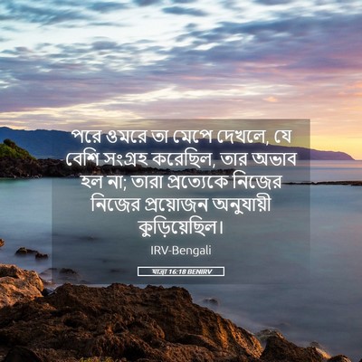 Picture 05 - যাত্ৰা 16:18 BENIRV - পরে ওমরে তা মেপে - Bible Verse Picture