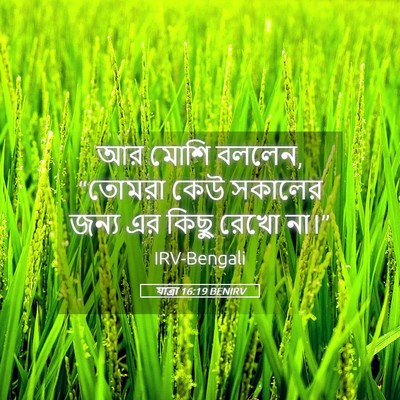 Picture 05 - যাত্ৰা 16:19 BENIRV - আর মোশি বললেন, - Bible Verse Picture