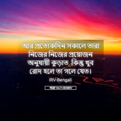Picture 05 - যাত্ৰা 16:21 BENIRV - আর প্রত্যেকদিন - Bible Verse Picture