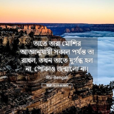 Picture 05 - যাত্ৰা 16:24 BENIRV - তাতে তারা মোশির - Bible Verse Picture