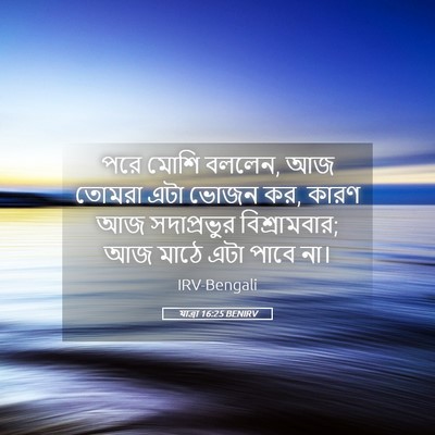 Picture 05 - যাত্ৰা 16:25 BENIRV - পরে মোশি বললেন, আজ - Bible Verse Picture