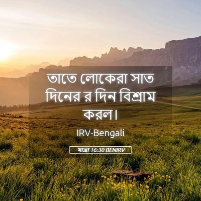 Picture 05 - যাত্ৰা 16:30 BENIRV - তাতে লোকেরা সাত - Bible Verse Picture