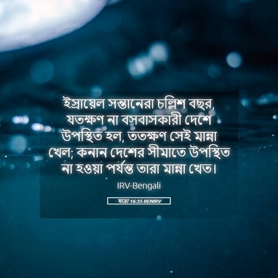 Picture 05 - যাত্ৰা 16:35 BENIRV - ইস্রায়েল - Bible Verse Picture