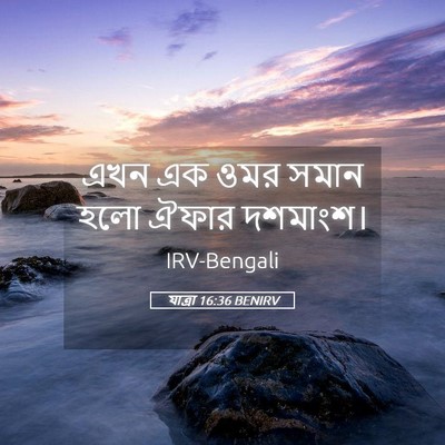 Picture 05 - যাত্ৰা 16:36 BENIRV - এখন এক ওমর সমান হলো - Bible Verse Picture