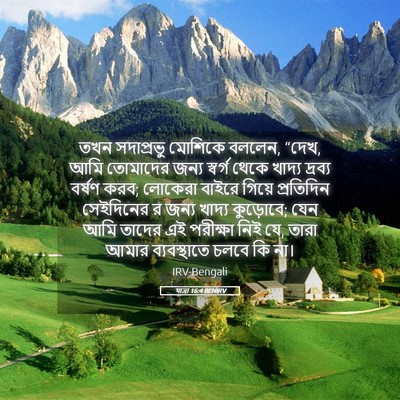Picture 05 - যাত্ৰা 16:4 BENIRV - তখন সদাপ্রভু - Bible Verse Picture