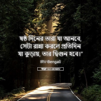 Picture 05 - যাত্ৰা 16:5 BENIRV - ষষ্ঠ দিনের তারা যা - Bible Verse Picture