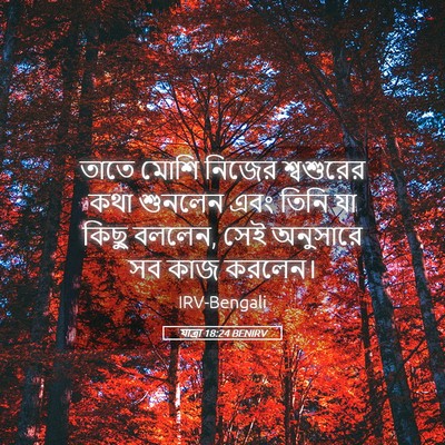 Picture 05 - যাত্ৰা 18:24 BENIRV - তাতে মোশি নিজের - Bible Verse Picture