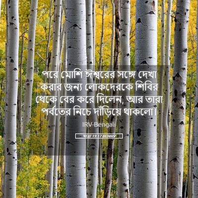 Picture 05 - যাত্ৰা 19:17 BENIRV - পরে মোশি ঈশ্বরের - Bible Verse Picture