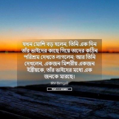 Picture 05 - যাত্ৰা 2:11 BENIRV - যখন মোশি বড় হলেন, - Bible Verse Picture