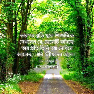 Picture 05 - যাত্ৰা 2:6 BENIRV - তারপর ঝুড়ি খুলে - Bible Verse Picture