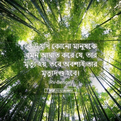 Picture 05 - যাত্ৰা 21:12 BENIRV - কেউ যদি কোনো - Bible Verse Picture