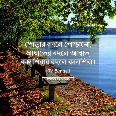 Picture 05 - যাত্ৰা 21:25 BENIRV - পোড়ার বদলে - Bible Verse Picture
