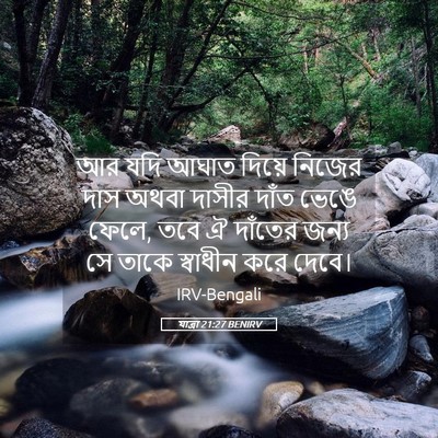 Picture 05 - যাত্ৰা 21:27 BENIRV - আর যদি আঘাত দিয়ে - Bible Verse Picture
