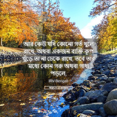 Picture 05 - যাত্ৰা 21:33 BENIRV - আর কেউ যদি কোনো - Bible Verse Picture