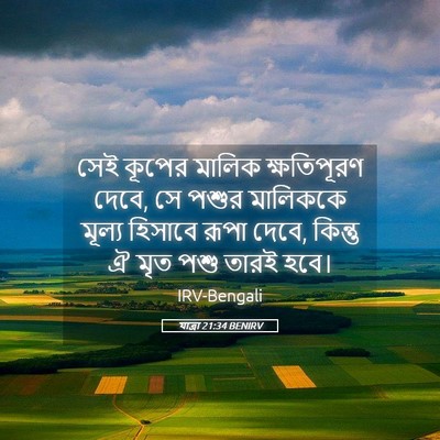 Picture 05 - যাত্ৰা 21:34 BENIRV - সেই কূপের মালিক - Bible Verse Picture