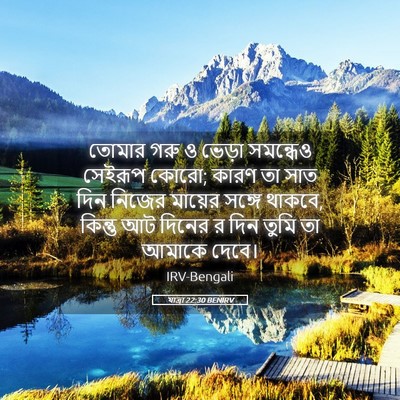 Picture 05 - যাত্ৰা 22:30 BENIRV - তোমার গরু ও ভেড়া - Bible Verse Picture