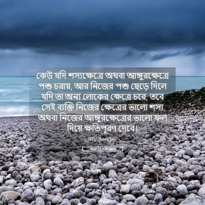Picture 05 - যাত্ৰা 22:5 BENIRV - কেউ যদি - Bible Verse Picture