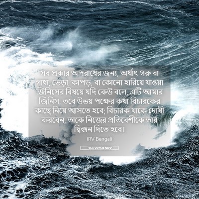Picture 05 - যাত্ৰা 22:9 BENIRV - সব প্রকার অপরাধের - Bible Verse Picture