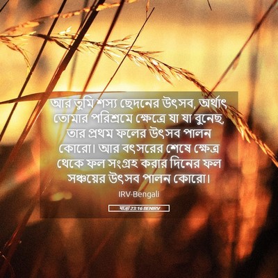 Picture 05 - যাত্ৰা 23:16 BENIRV - আর তুমি শস্য - Bible Verse Picture