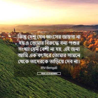 Picture 05 - যাত্ৰা 23:29 BENIRV - কিন্তু দেশ যেন - Bible Verse Picture